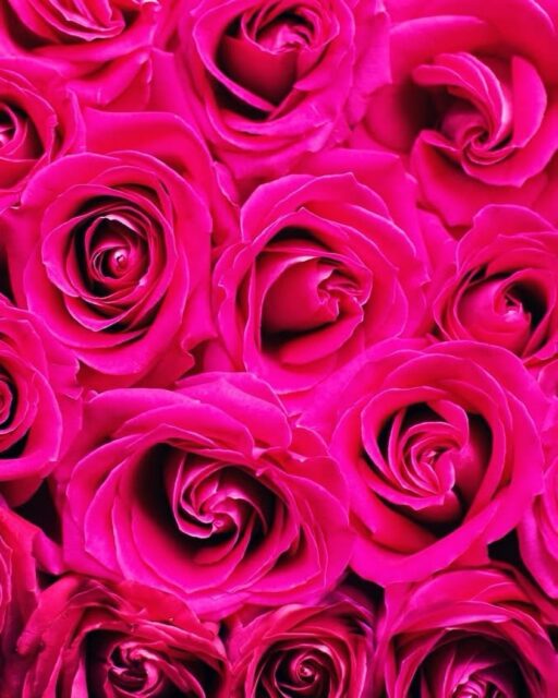 💘 Ein kleiner Hinweis für alle Liebenden: Zum Valentinstag haben wir ein feines Ticket-Gewinnspiel ❤️🍀 für Euch vorbereitet.

👉 Schaut morgen unbedingt auf unseren Socials vorbei — es lohnt sich 😉

Euer Sommernächte-Team